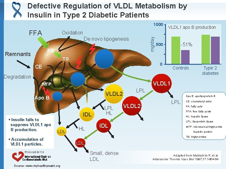 Defective Regulation of VLDL Metabolism by Insulin in Type 2 Diabetic Patients 1000 FFA