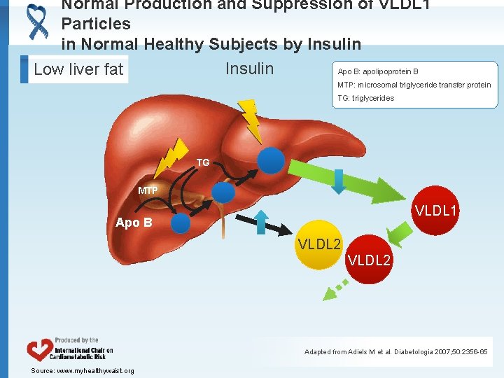 Normal Production and Suppression of VLDL 1 Particles in Normal Healthy Subjects by Insulin