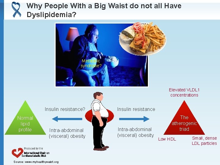 Why People With a Big Waist do not all Have Dyslipidemia? Metabolic syndrome? Elevated