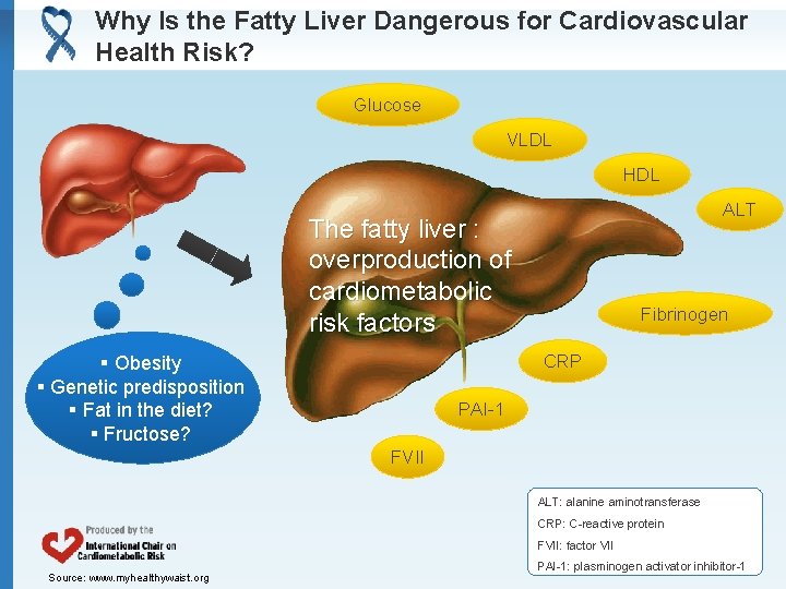 Why Is the Fatty Liver Dangerous for Cardiovascular Health Risk? Glucose VLDL HDL ALT