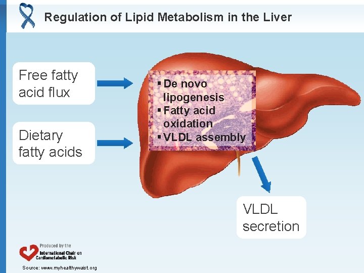 Regulation of Lipid Metabolism in the Liver Free fatty acid flux Dietary fatty acids