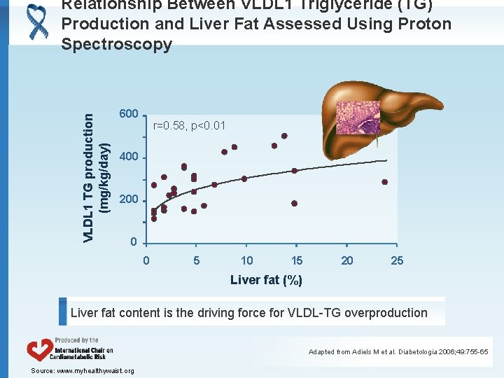 VLDL 1 TG production (mg/kg/day) Relationship Between VLDL 1 Triglyceride (TG) Production and Liver