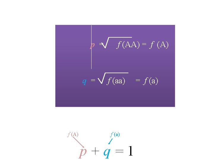 p = q = f (A) f (AA) = f (A) f (aa) f