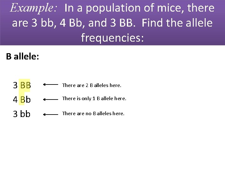 Example: In a population of mice, there are 3 bb, 4 Bb, and 3