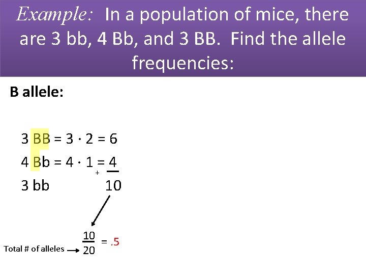 Example: In a population of mice, there are 3 bb, 4 Bb, and 3
