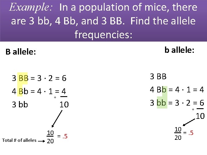 Example: In a population of mice, there are 3 bb, 4 Bb, and 3