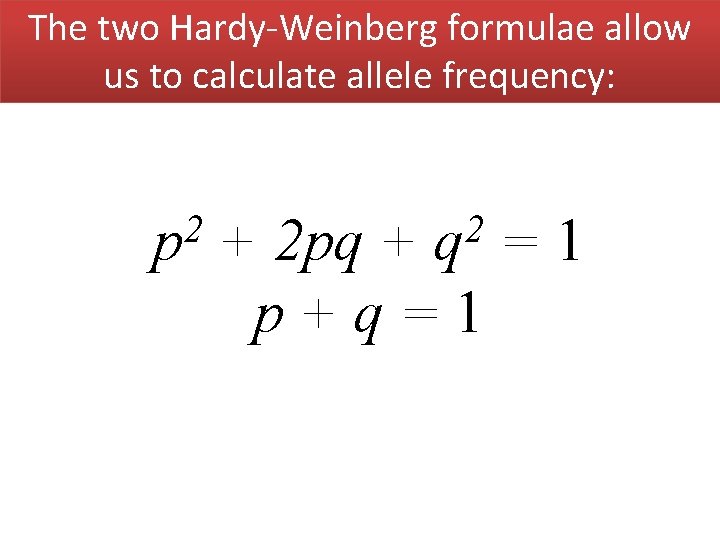 The two Hardy-Weinberg formulae allow us to calculate allele frequency: 2 p 2 q