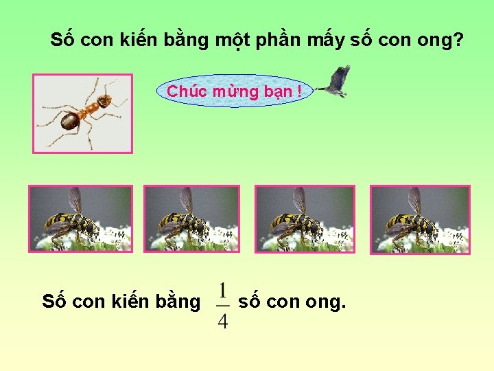 Số con kiến bằng một phần mấy số con ong? Chúc mừng bạn !