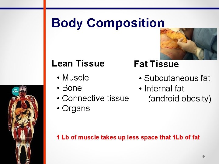 Body Composition Lean Tissue • Muscle • Bone • Connective tissue • Organs Fat