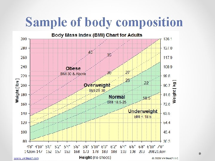 Sample of body composition 