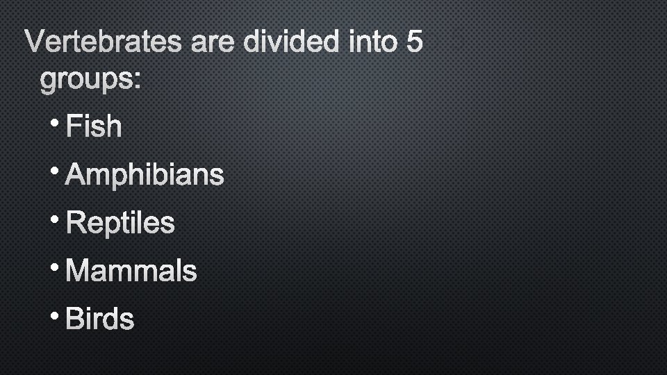 VERTEBRATES ARE DIVIDED INTO 5 GROUPS: • FISH • AMPHIBIANS • REPTILES • MAMMALS