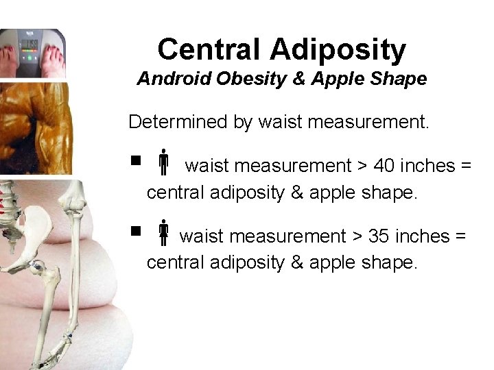 Central Adiposity Android Obesity & Apple Shape Determined by waist measurement. § waist measurement