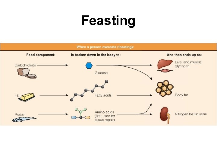 Feasting 