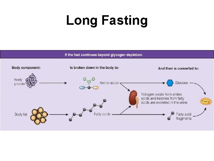 Long Fasting 