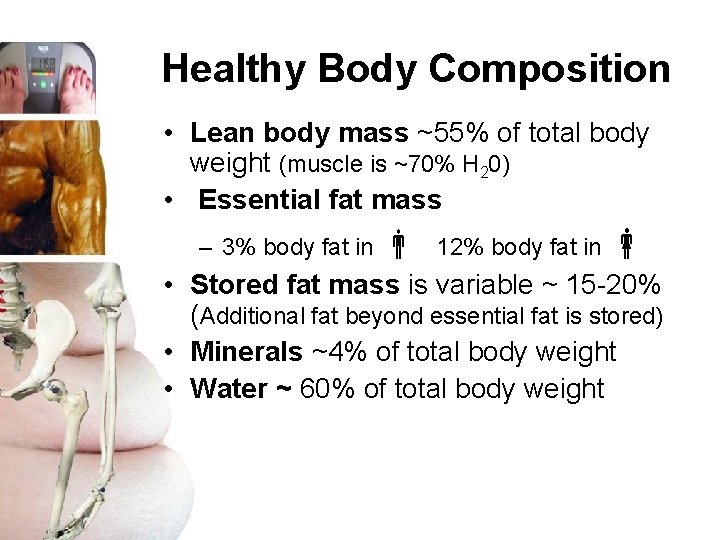 Healthy Body Composition • Lean body mass ~55% of total body weight (muscle is