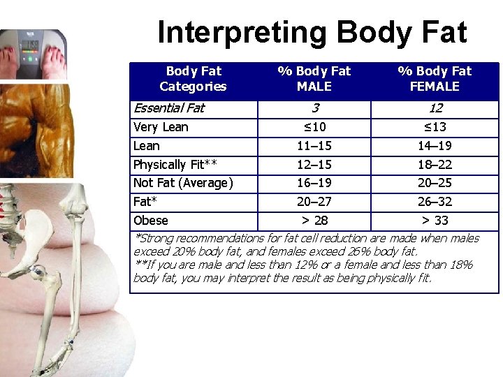 Interpreting Body Fat Categories Essential Fat Very Lean Physically Fit** Not Fat (Average) Fat*