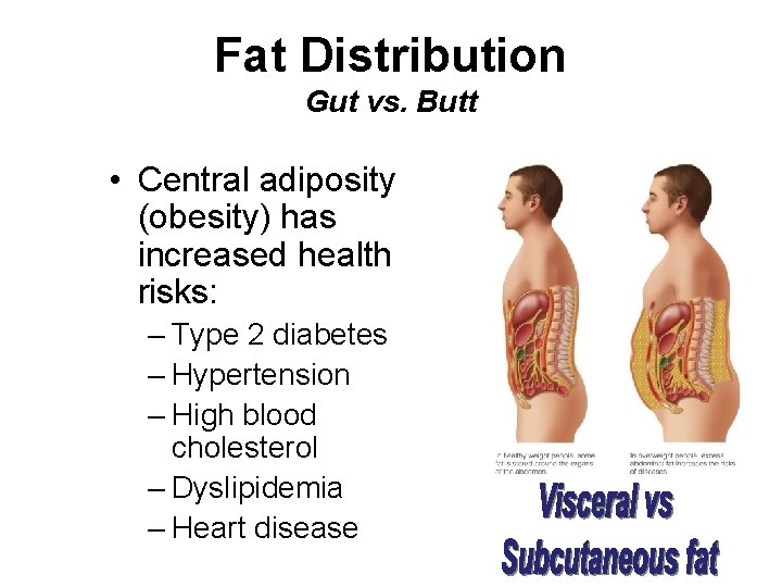 Fat Distribution Gut vs. Butt • Central adiposity (obesity) has increased health risks: –