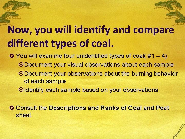 Now, you will identify and compare different types of coal. £ You will examine