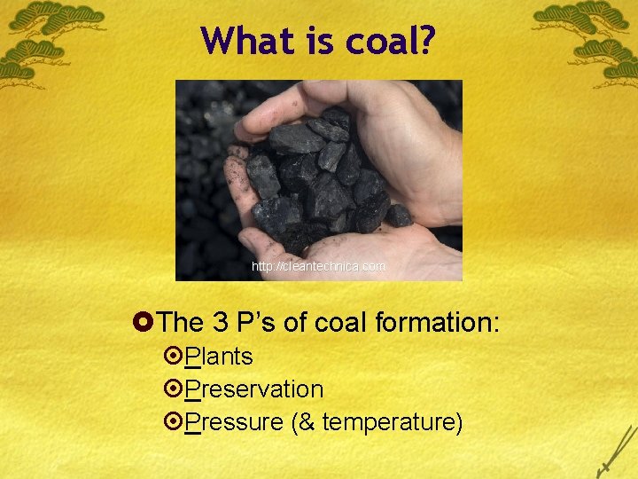 What is coal? http: //cleantechnica. com £The 3 P’s of coal formation: ¤Plants ¤Preservation