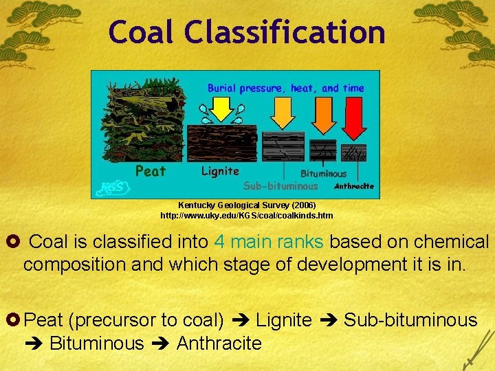 Coal Classification Kentucky Geological Survey (2006) http: //www. uky. edu/KGS/coalkinds. htm £ Coal is