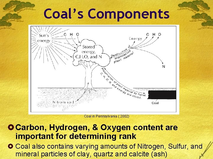Coal’s Components Coal in Pennsylvania ( 2002) £ Carbon, Hydrogen, & Oxygen content are