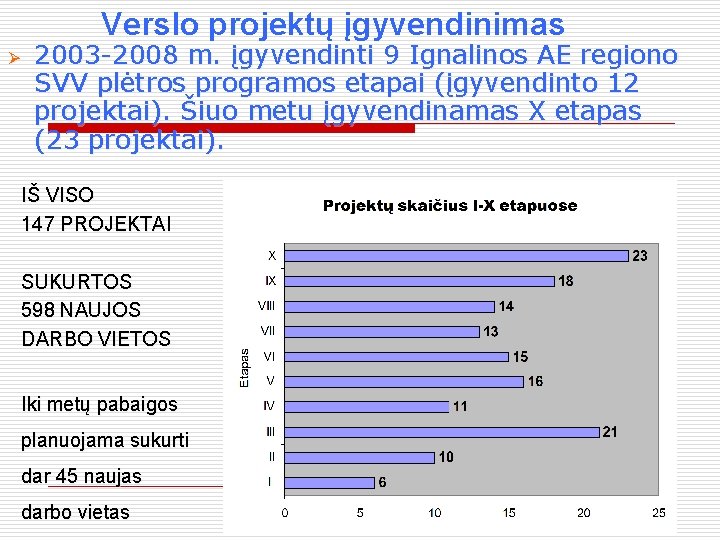 Verslo projektų įgyvendinimas Ø 2003 -2008 m. įgyvendinti 9 Ignalinos AE regiono SVV plėtros