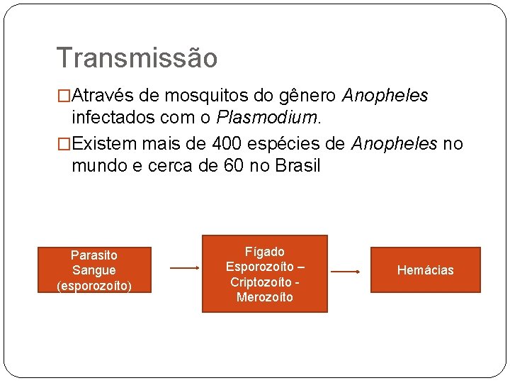 Transmissão �Através de mosquitos do gênero Anopheles infectados com o Plasmodium. �Existem mais de