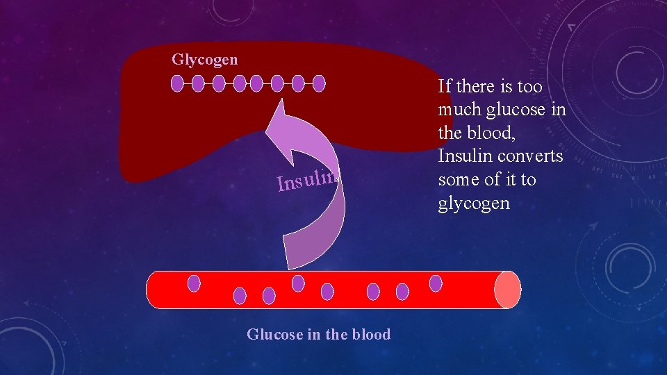 Glycogen Insulin Glucose in the blood If there is too much glucose in the