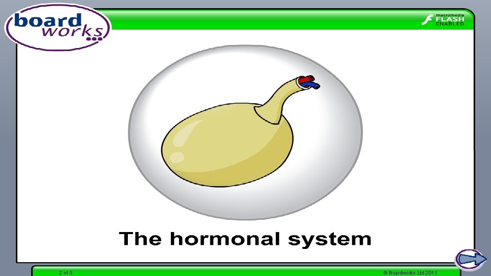 2 of 3 © Boardworks Ltd 2011 