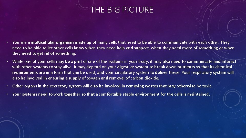 THE BIG PICTURE • You are a multicellular organism made up of many cells