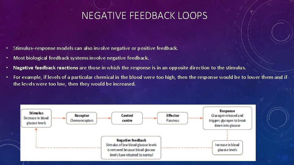 NEGATIVE FEEDBACK LOOPS • Stimulus–response models can also involve negative or positive feedback. •