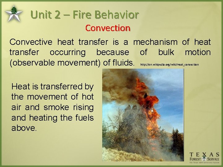 Unit 2 – Fire Behavior Convection Convective heat transfer is a mechanism of heat