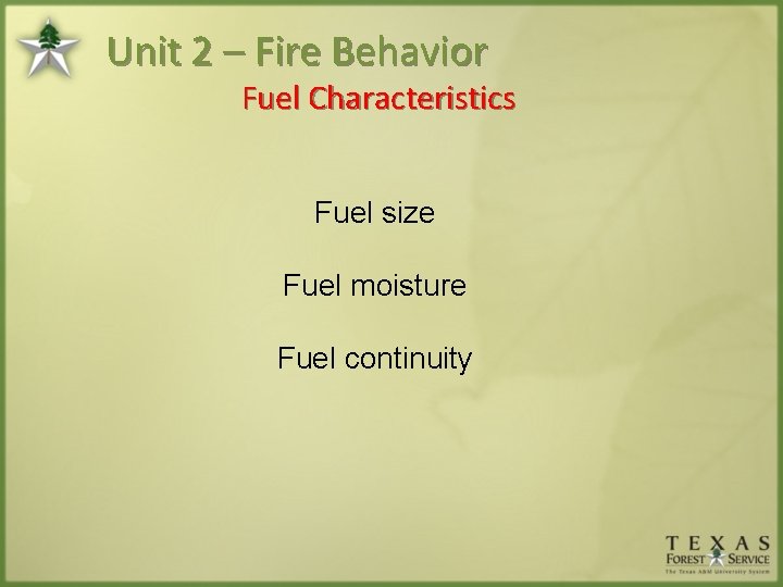 Unit 2 – Fire Behavior Fuel Characteristics Fuel size Fuel moisture Fuel continuity 