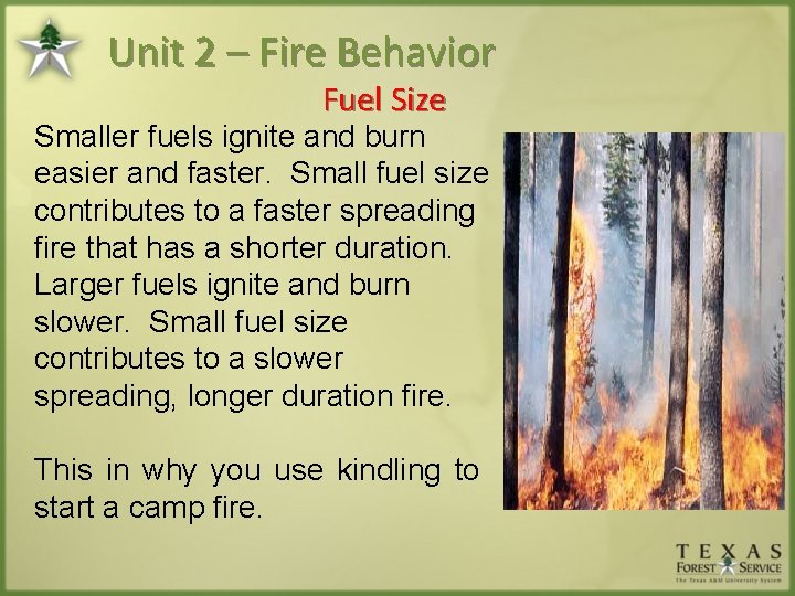 Unit 2 – Fire Behavior Fuel Size Smaller fuels ignite and burn easier and