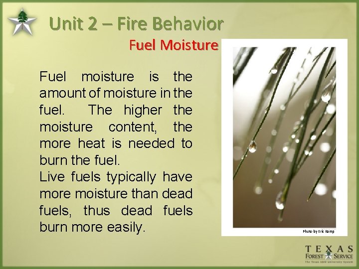 Unit 2 – Fire Behavior Fuel Moisture Fuel moisture is the amount of moisture