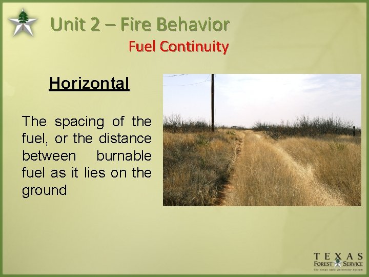 Unit 2 – Fire Behavior Fuel Continuity Horizontal The spacing of the fuel, or