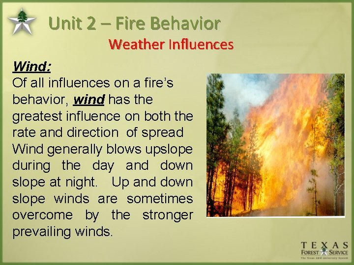 Unit 2 – Fire Behavior Weather Influences Wind: Of all influences on a fire’s