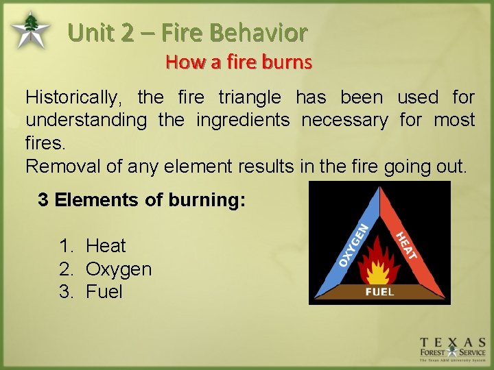 Unit 2 – Fire Behavior How a fire burns Historically, the fire triangle has