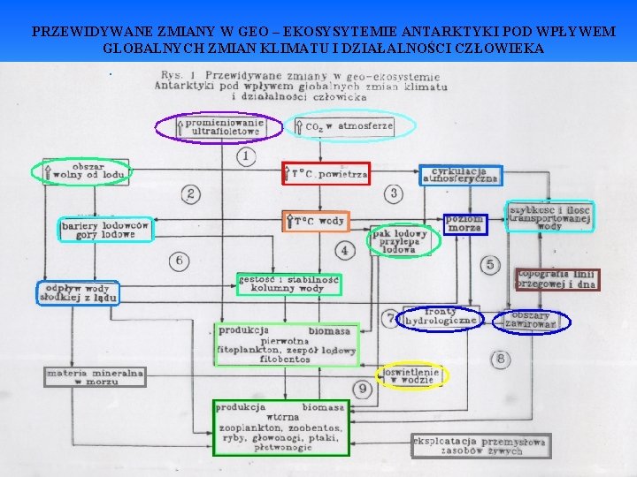 PRZEWIDYWANE ZMIANY W GEO – EKOSYSYTEMIE ANTARKTYKI POD WPŁYWEM GLOBALNYCH ZMIAN KLIMATU I DZIAŁALNOŚCI