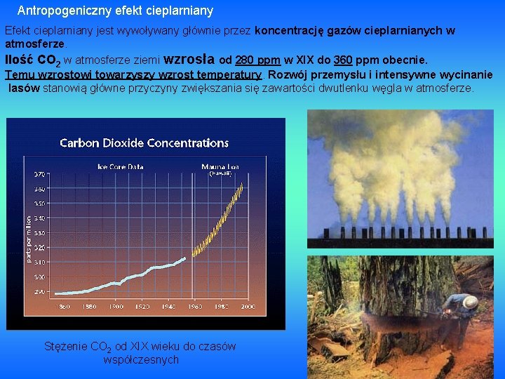 Antropogeniczny efekt cieplarniany Efekt cieplarniany jest wywoływany głównie przez koncentrację gazów cieplarnianych w atmosferze.