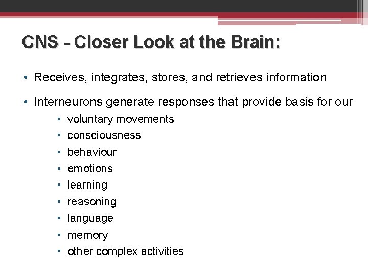 CNS - Closer Look at the Brain: • Receives, integrates, stores, and retrieves information