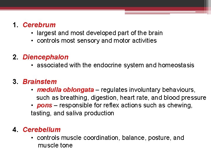 1. Cerebrum • largest and most developed part of the brain • controls most