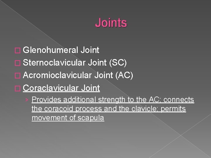 Joints � Glenohumeral Joint � Sternoclavicular Joint (SC) � Acromioclavicular Joint (AC) � Coraclavicular