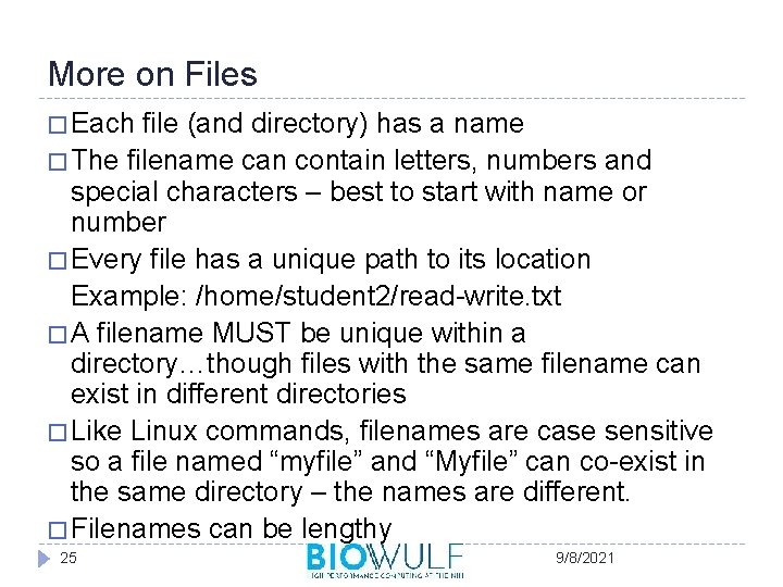 More on Files � Each file (and directory) has a name � The filename