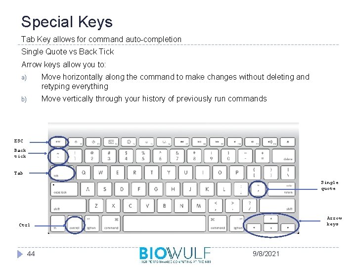 Special Keys Tab Key allows for command auto-completion Single Quote vs Back Tick Arrow