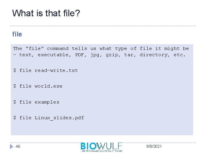 What is that file? file The “file” command tells us what type of file
