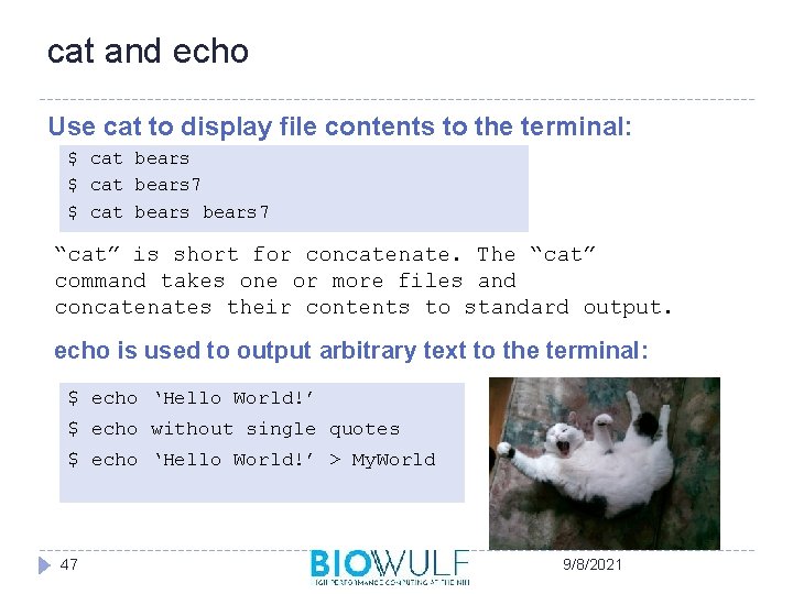 cat and echo Use cat to display file contents to the terminal: $ cat