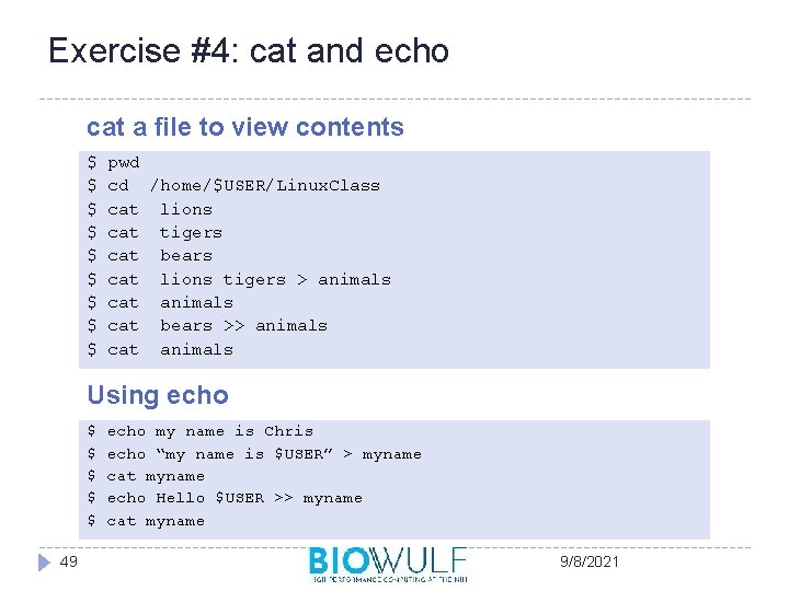 Exercise #4: cat and echo cat a file to view contents $ $ $