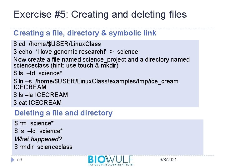 Exercise #5: Creating and deleting files Creating a file, directory & symbolic link $