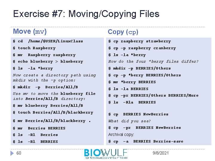 Exercise #7: Moving/Copying Files Move (mv) Copy (cp) $ cd $ cp raspberry strawberry